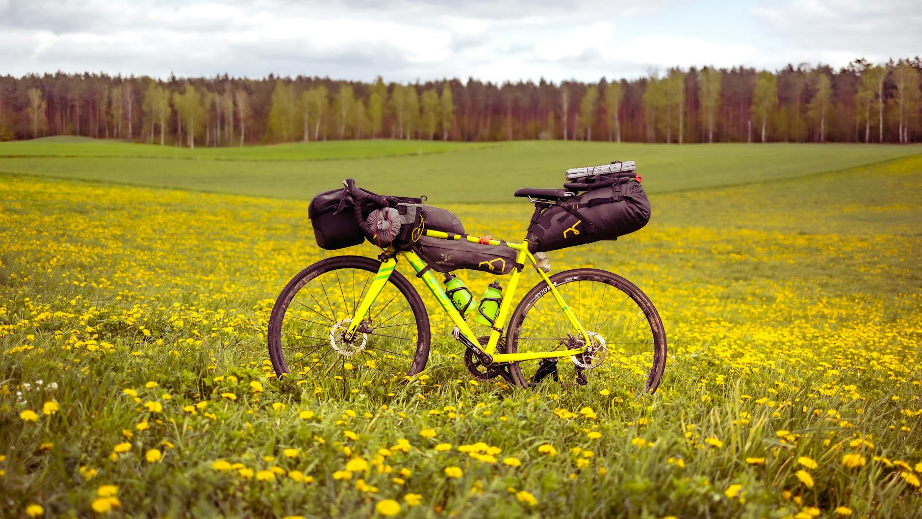 Rower wypakowany sakwami stoi na wiosennej łące pełnej żółtych kwiatów