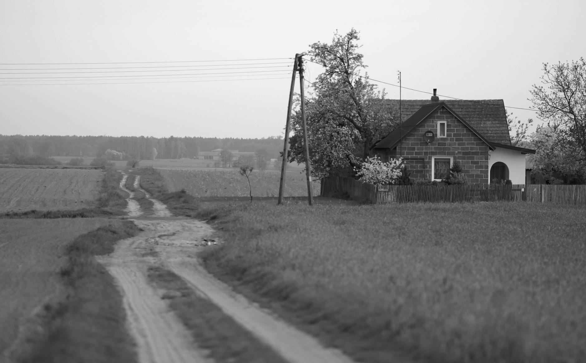 Czarno-biały wiejski krajobraz z drewnianym domem przy polnej drodze
